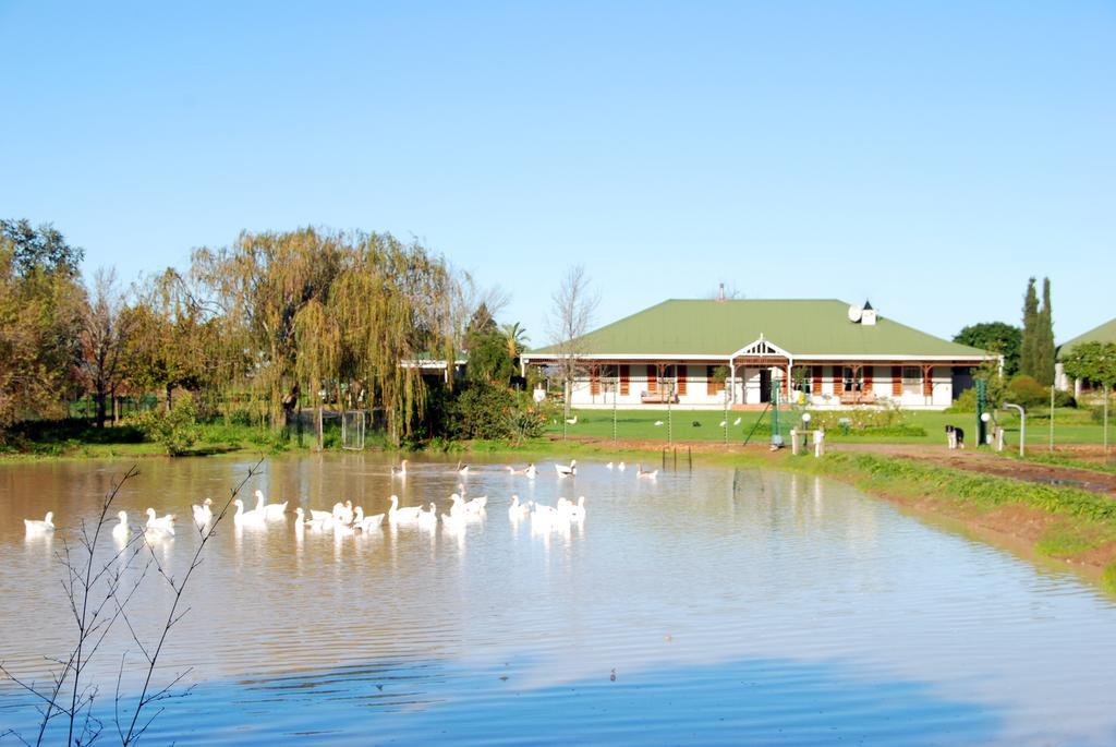 Hoopenburg Guesthouse Klapmuts Exterior photo